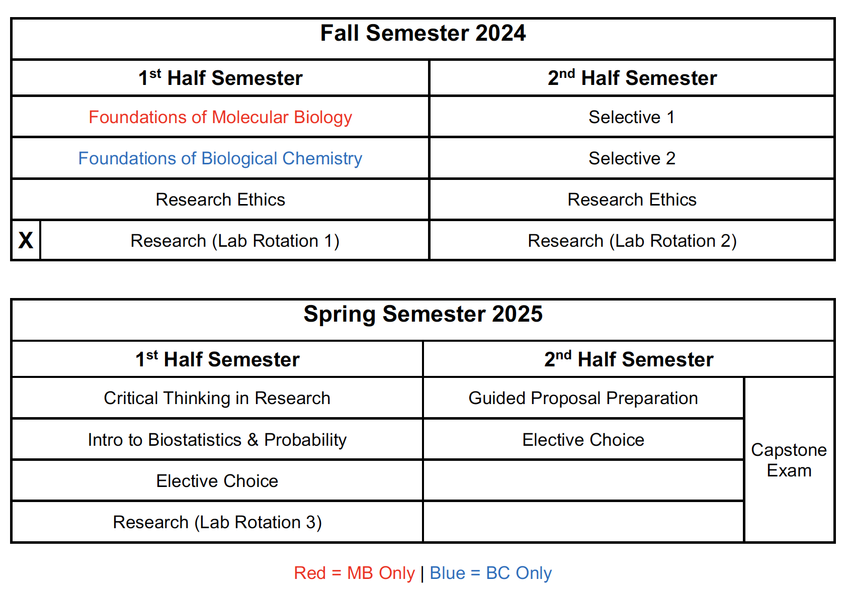 2024-2025 Curriculum Grid