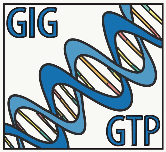 GIG GTP